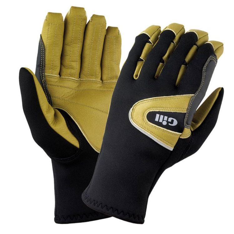 Gloves (1) Gloves (1)